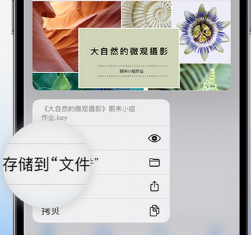 土默特左apple维修中心分享iPhone文件应用中存储和找到下载文件