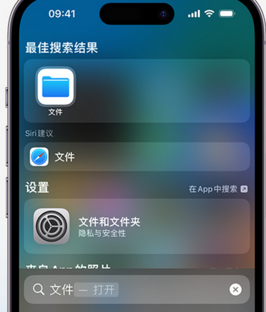 土默特左apple维修中心分享iPhone文件应用中存储和找到下载文件 