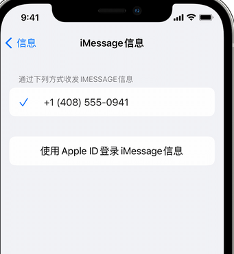 土默特左apple维修iPhone上无法正常发送iMessage信息 