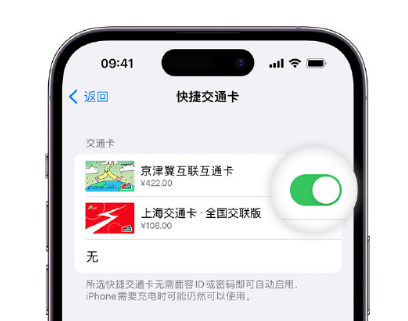 土默特左apple维修点分享iPhone上更换Apple Pay快捷交通卡手绘卡面 