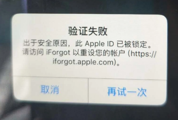 土默特左iPhone维修分享iPhone上正常登录或使用AppleID怎么办 