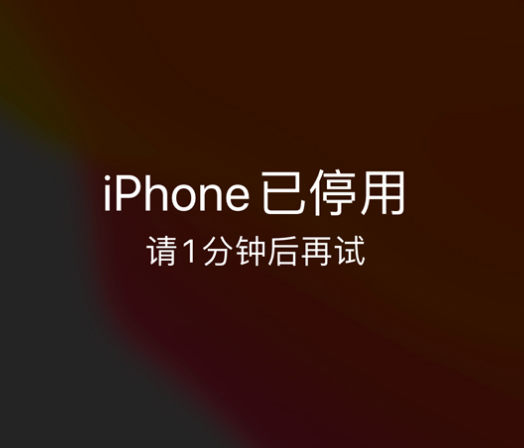 土默特左苹果手机维修分享:iPhone 显示“不可用”或“已停用”怎么办？还能保留数据吗？ 