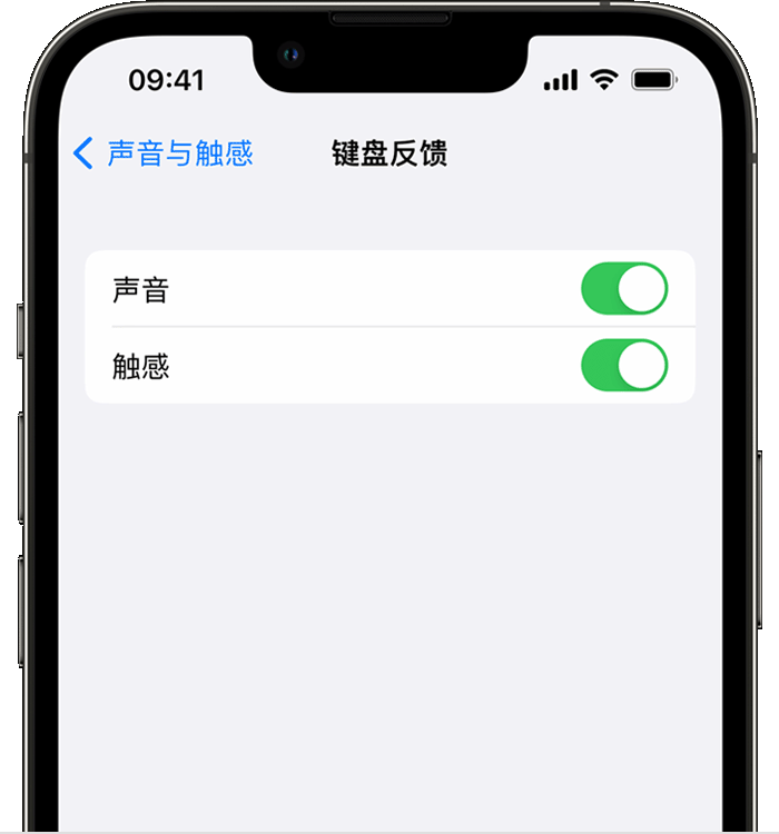 土默特左苹果14维修店分享如何在 iPhone 14 机型中使用触感键盘 