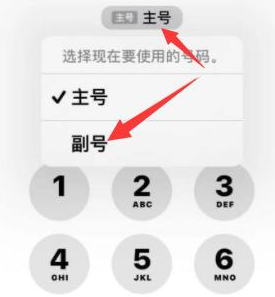 土默特左苹果14维修店分享iPhone 14 Pro Max使用副卡打电话的方法 