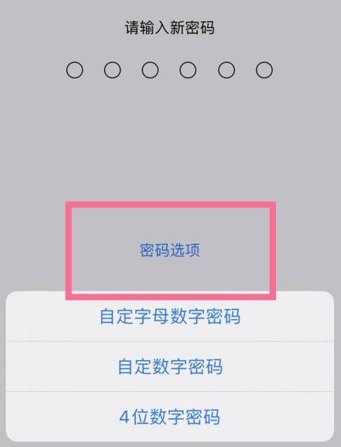 土默特左苹果14维修分享iPhone 14plus设置密码的方法 