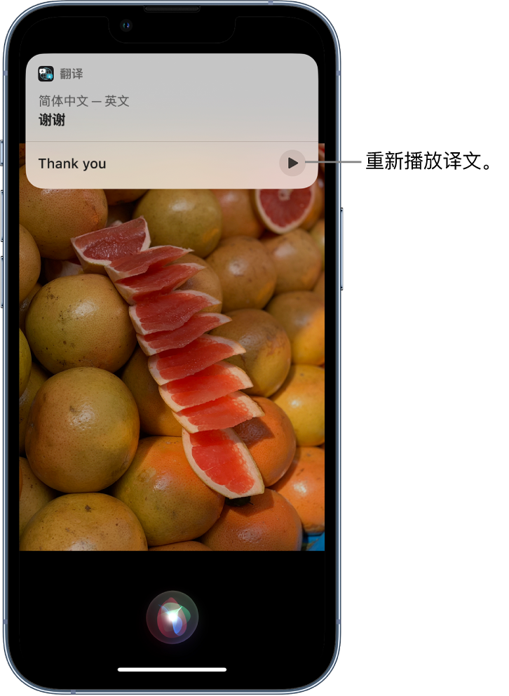 土默特左苹果14维修分享 iPhone 14 机型中使用 Siri：了解 Siri 能帮你做什么 