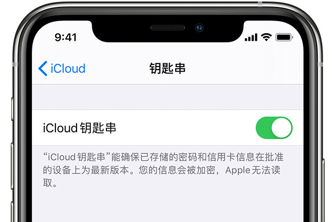 土默特左苹果手机维修分享在 iPhone 上开启 iCloud 钥匙串之后会储存哪些信息 